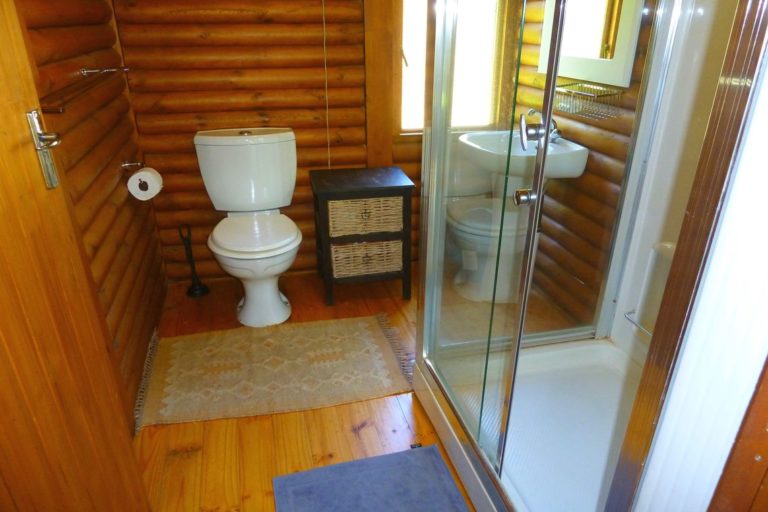 Downstairs Bathroom