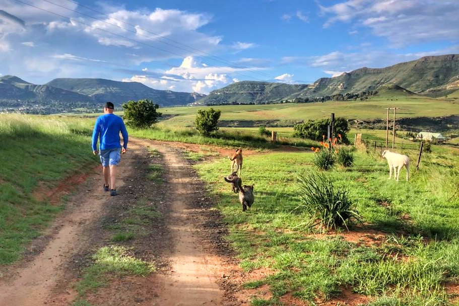 Walking with the dogs Bethel Lodge